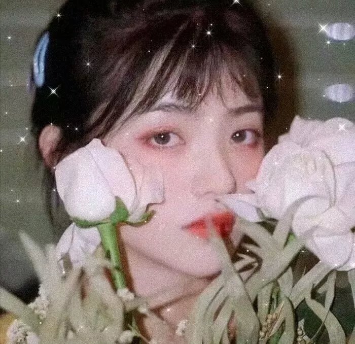 玫瑰骑士